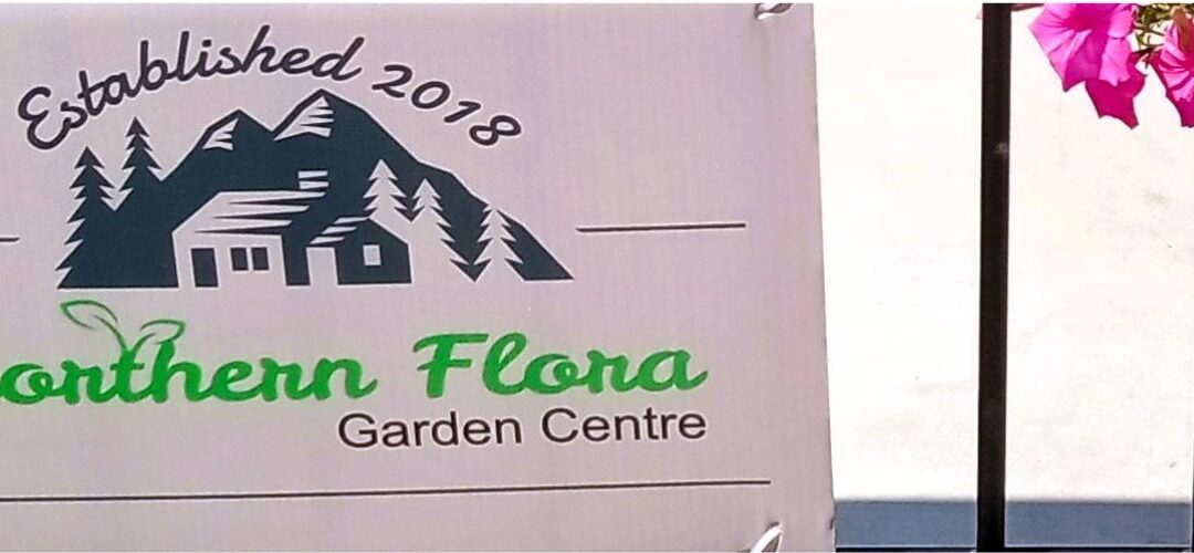 Local Garden Centre Donates Waves of Summer Florals to Barrhead Healthcare Centre