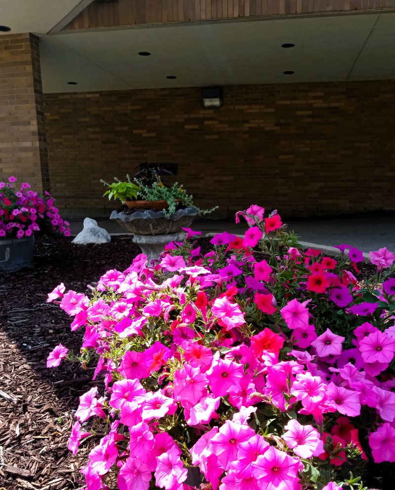 Volunteers from the Barrhead Healthcare Centre Auxiliary unloading donated flower containers from Northern Flora.