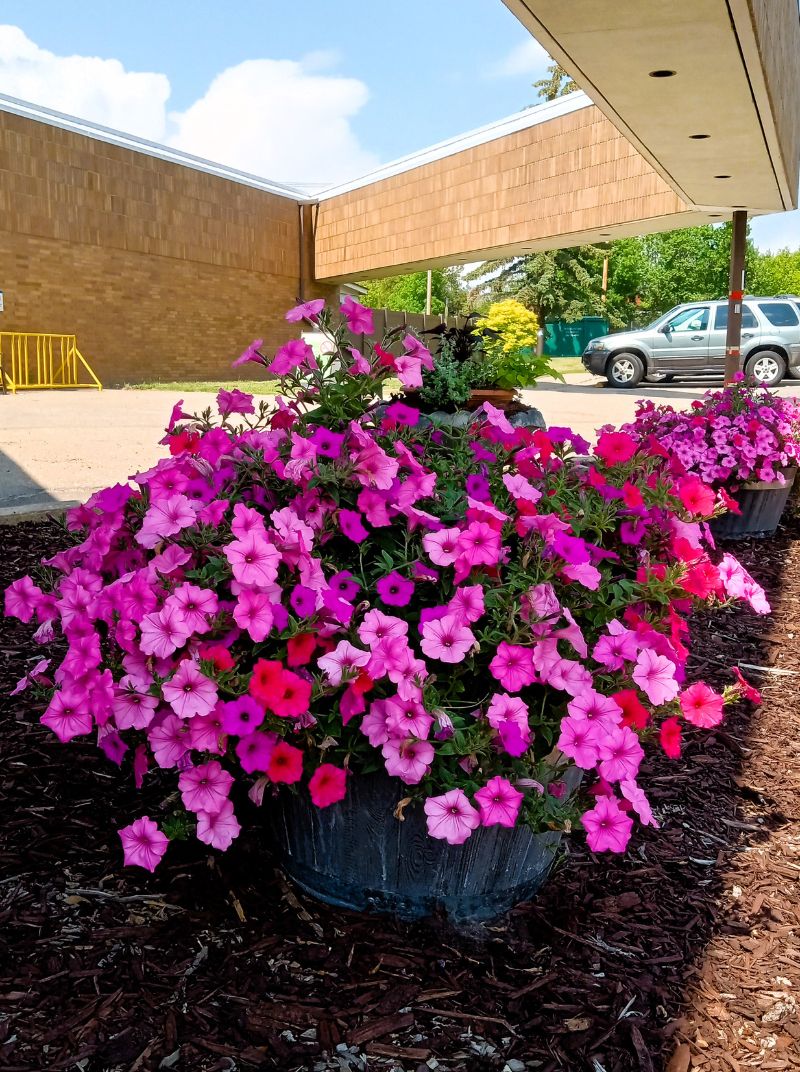 Northern Flora team and Auxiliary members coordinating floral donation delivery at Barrhead Healthcare Centre.