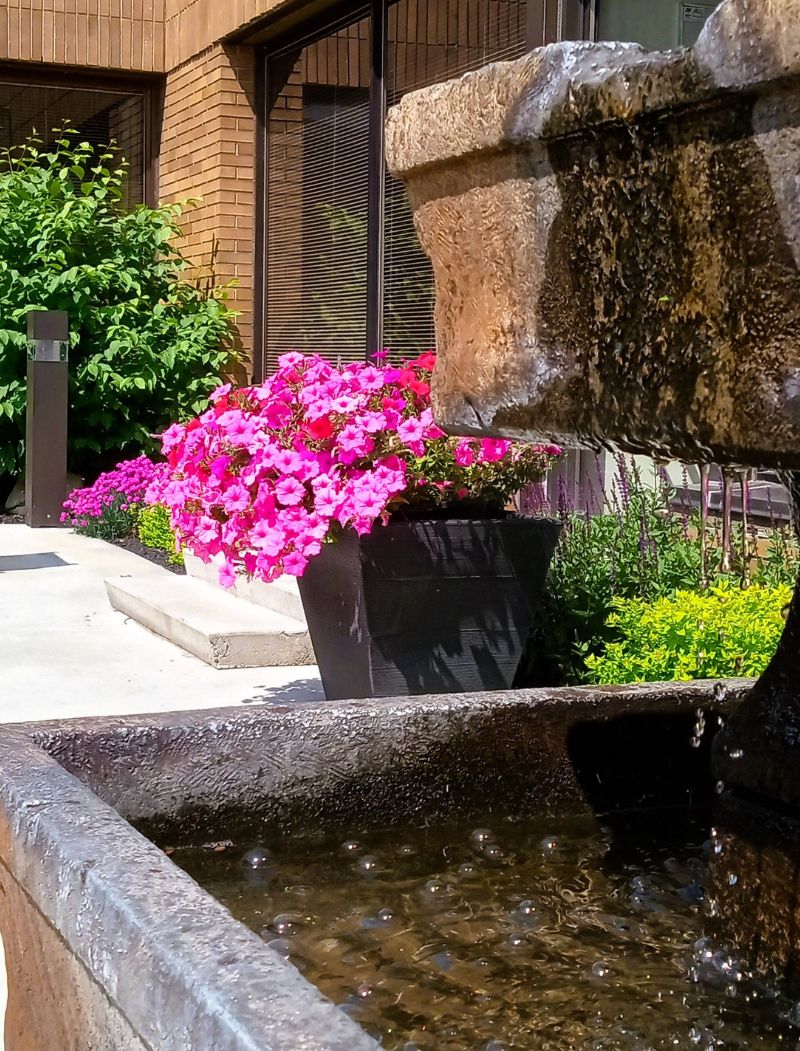 Colorful outdoor floral display in the Barrhead Healthcare Centre courtyard, created from Northern Flora’s donation.