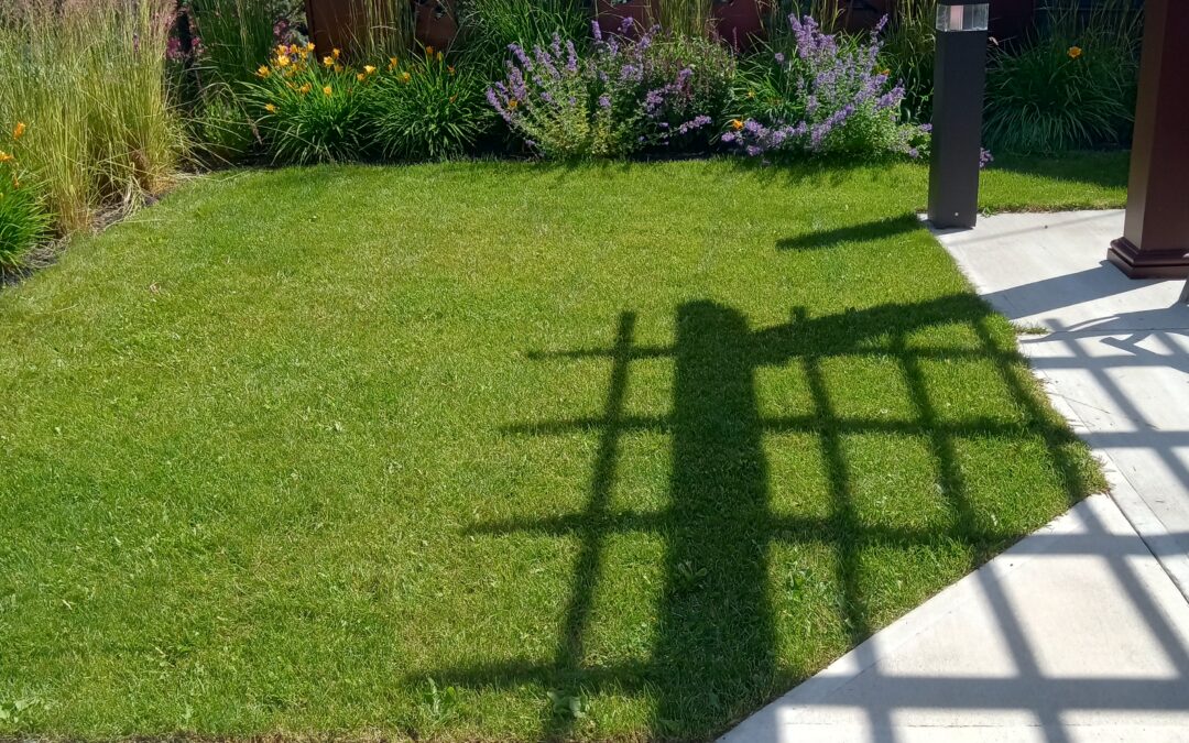 Ella’s Garden: Barrhead Healthcare Centre -A Generous Legacy of Beauty and Care