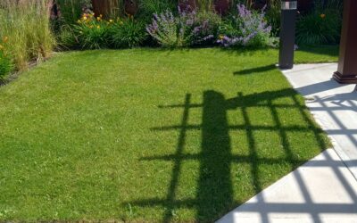 Ella’s Garden: Barrhead Healthcare Center -A Generous Legacy of Beauty and Care