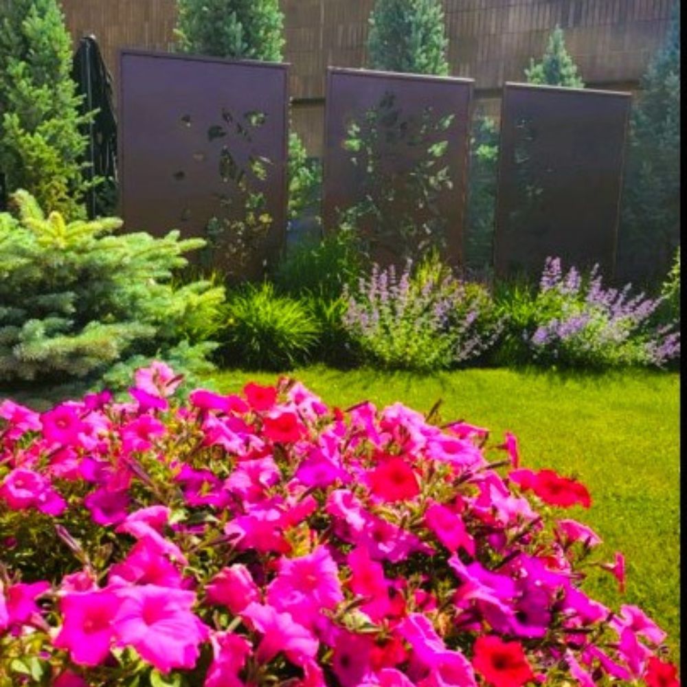 Volunteers preparing the donated Pink Wave petunias for placement in Ella’s Garden at Barrhead Healthcare Centre.