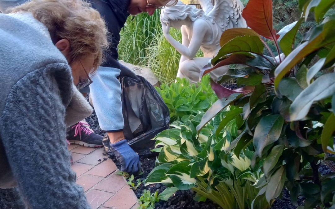 Summer Work Bee at Ella’s Garden: Auxiliary Volunteers In Action