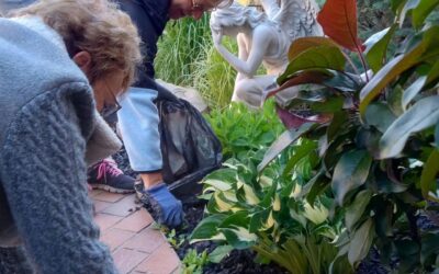 Summer Work Bee at Ella’s Garden: Auxiliary Volunteers In Action