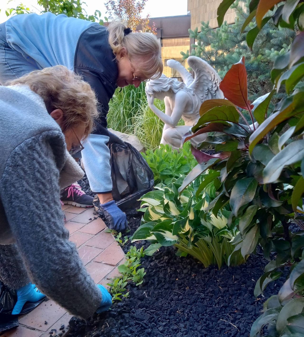 Barrhead Auxiliary, Weeding Ella's garden Shade Garden
