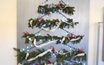 Tree of Hope 2021: Cardiac Monitors for Emergency Care